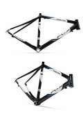 Fuji Team Pro Road Bike Frame – Carbon Fibe