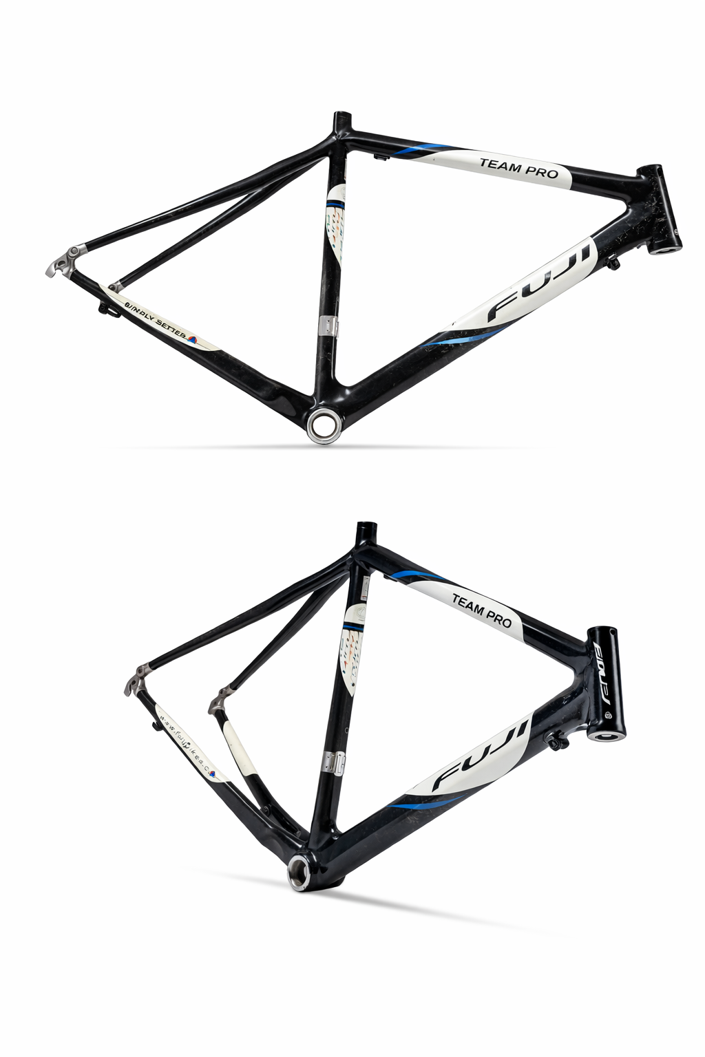Fuji Team Pro Road Bike Frame – Carbon Fibe